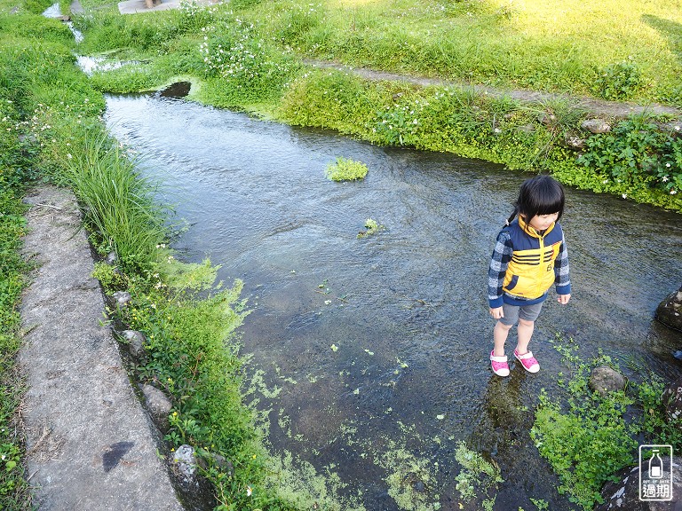 九芎根親水公園