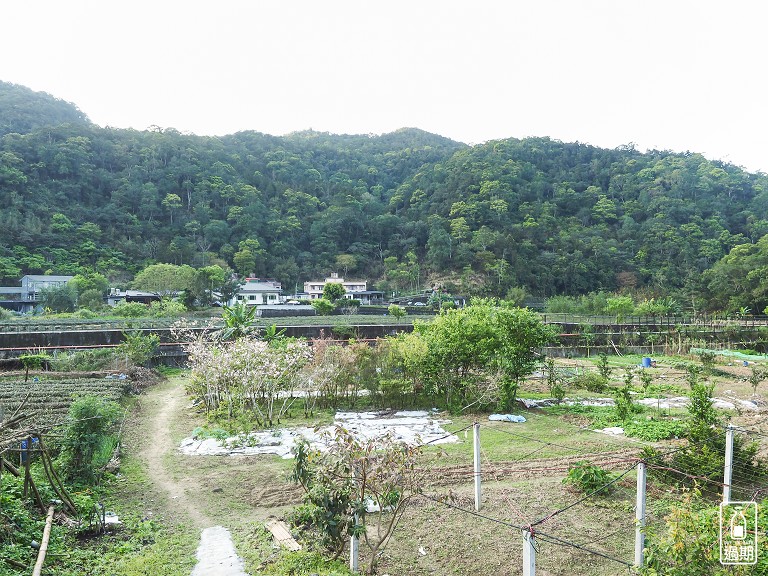 金瓜寮茶香生態村