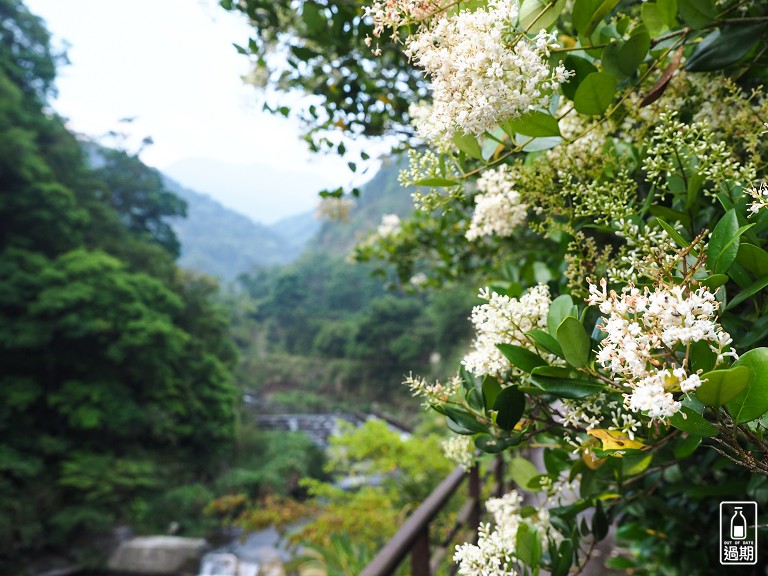 蚋仔溪生態步道