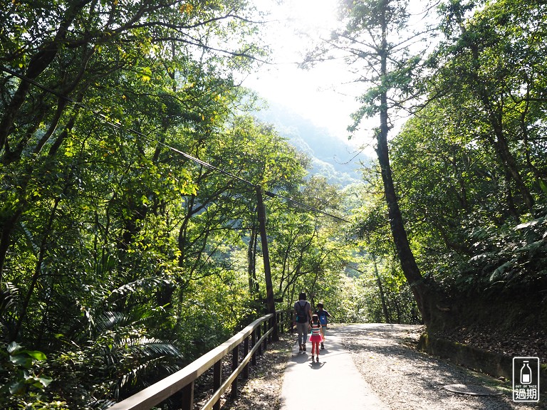 滿月圓森林遊樂區