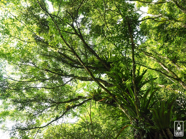 滿月圓森林遊樂區