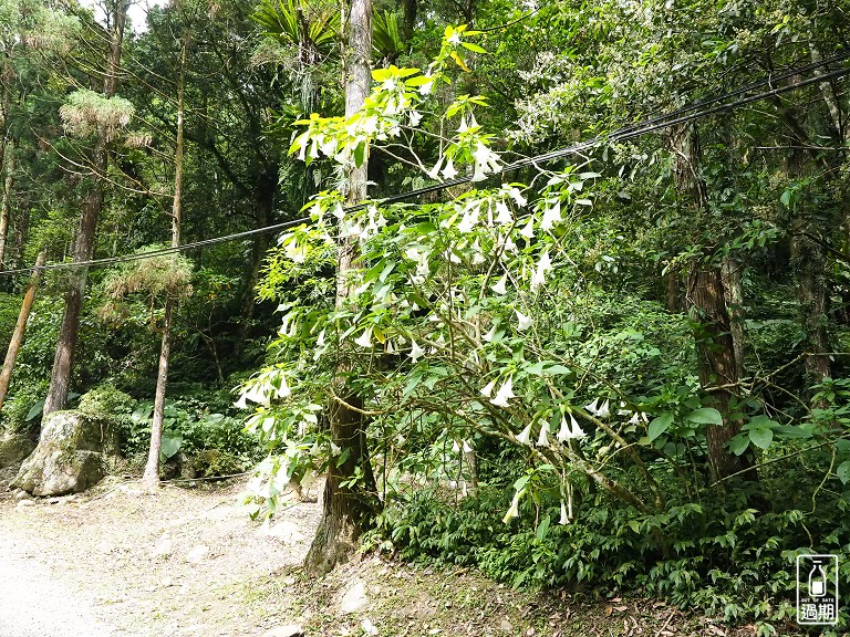 滿月圓森林遊樂區