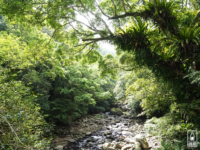 滿月圓森林遊樂區