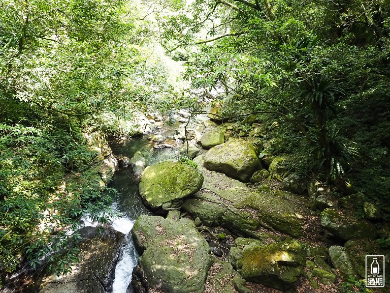 滿月圓森林遊樂區