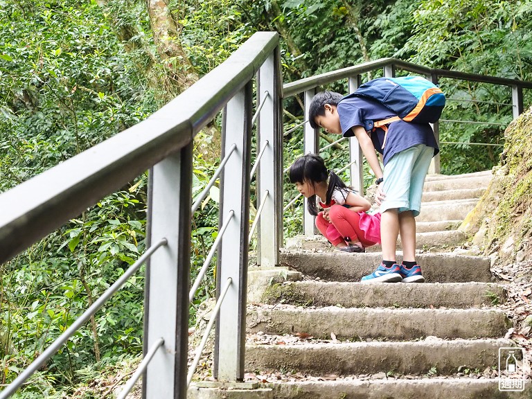 滿月圓森林遊樂區