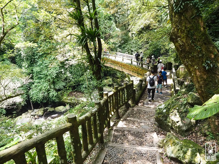 滿月圓森林遊樂區