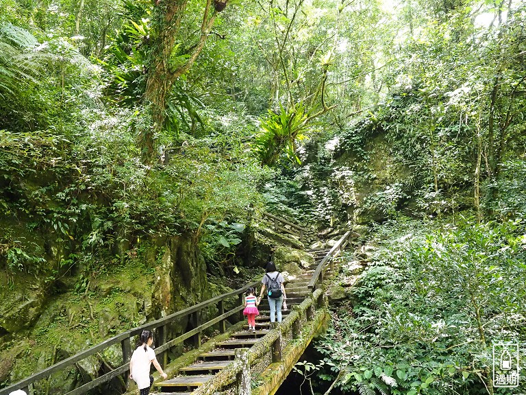 滿月圓森林遊樂區