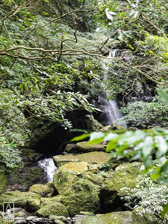 滿月圓森林遊樂區