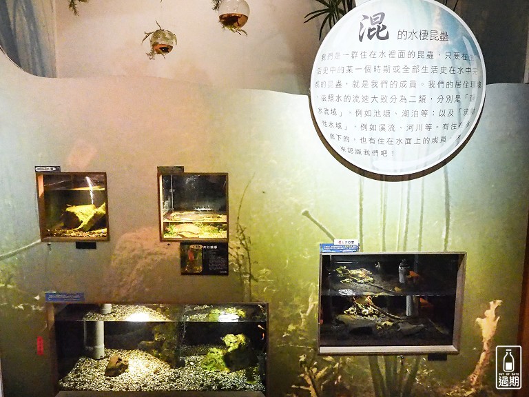 台灣昆蟲館