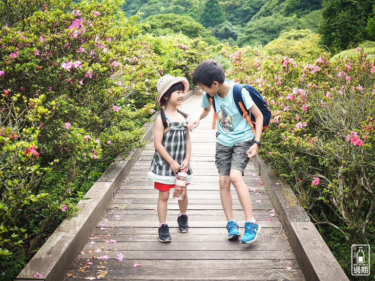 大屯自然公園-二子坪蝴蝶步道