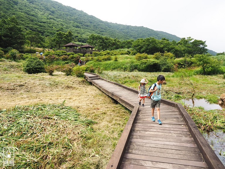 大屯自然公園-二子坪蝴蝶步道