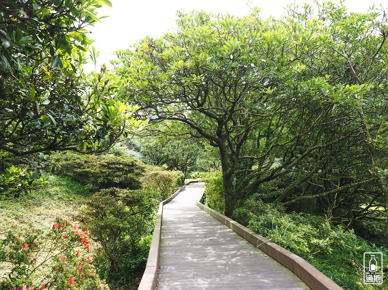 大屯自然公園-二子坪蝴蝶步道