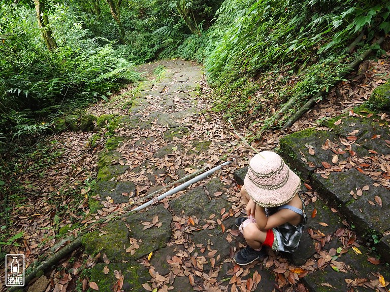 大屯自然公園-二子坪蝴蝶步道