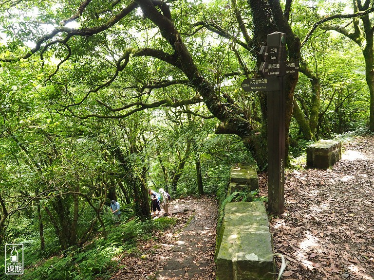 大屯自然公園-二子坪蝴蝶步道