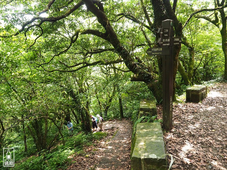 大屯自然公園-二子坪蝴蝶步道