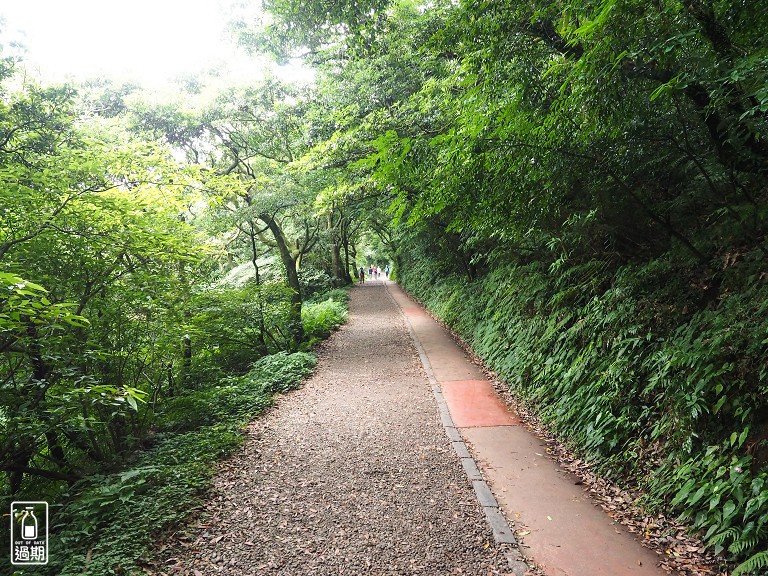 大屯自然公園-二子坪蝴蝶步道