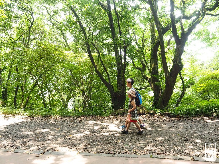 大屯自然公園-二子坪蝴蝶步道