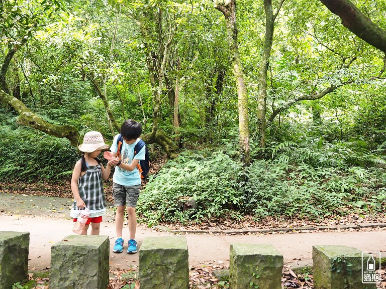 大屯自然公園-二子坪蝴蝶步道