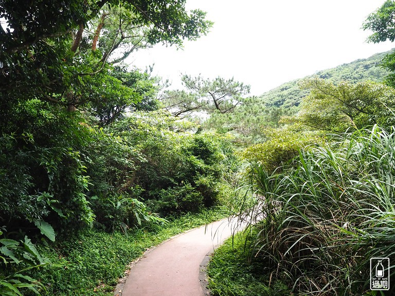 大屯自然公園-二子坪蝴蝶步道