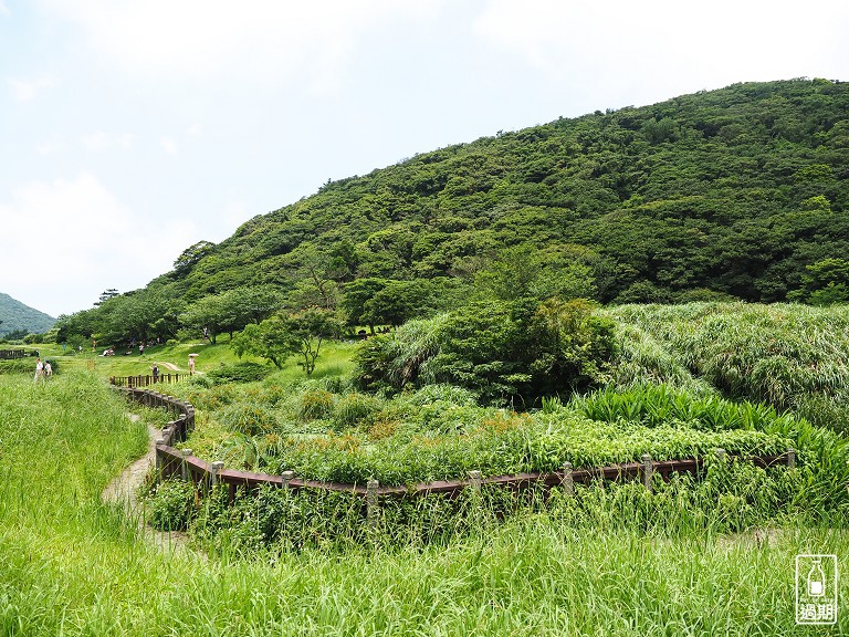 大屯自然公園-二子坪蝴蝶步道