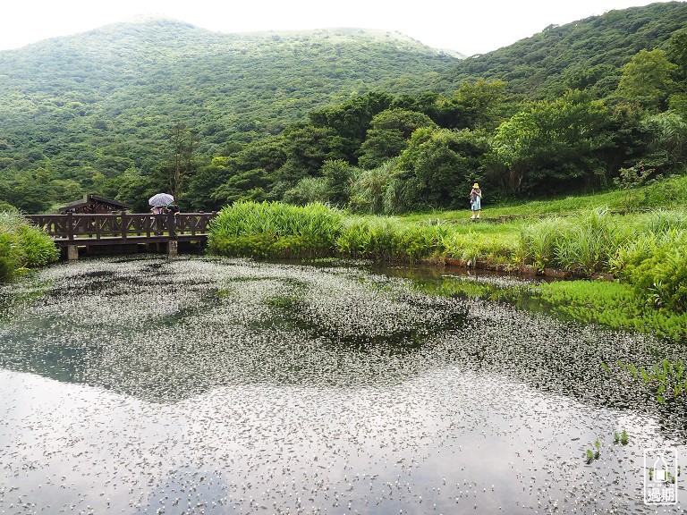 二子坪休憩區