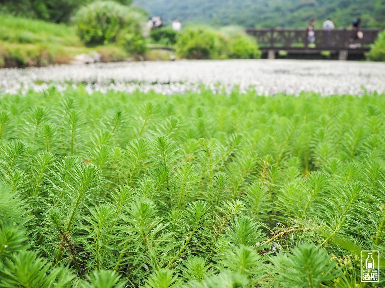 二子坪休憩區