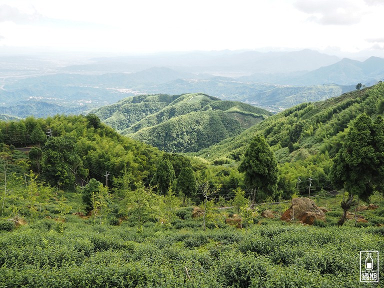 大崙山觀霧亭