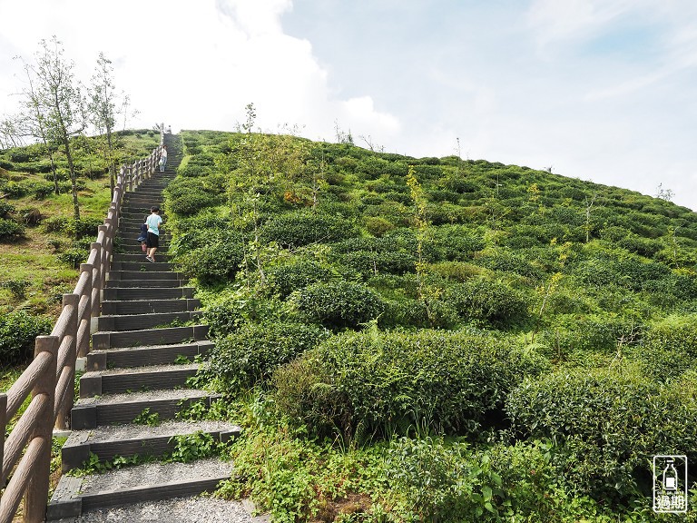 大崙山觀霧亭