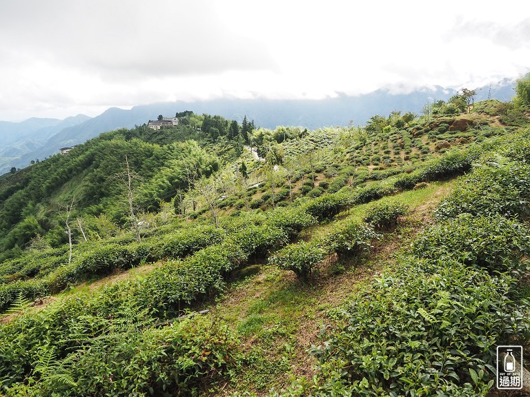 大崙山觀霧亭