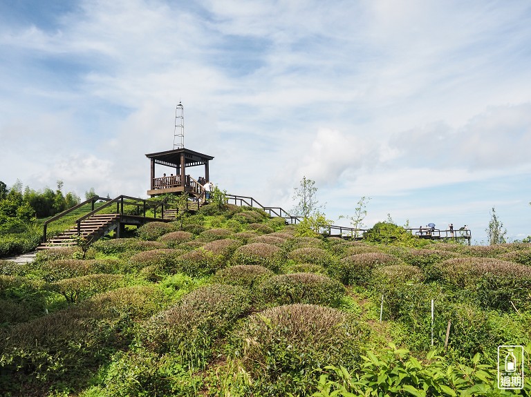 大崙山觀霧亭