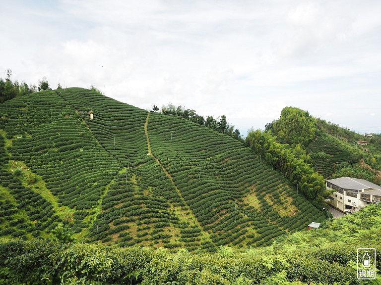 大崙山觀霧亭