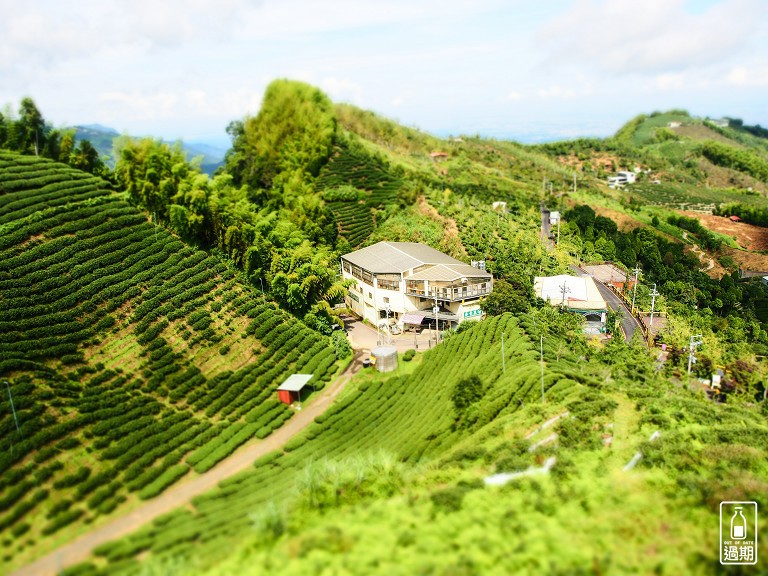 大崙山觀霧亭