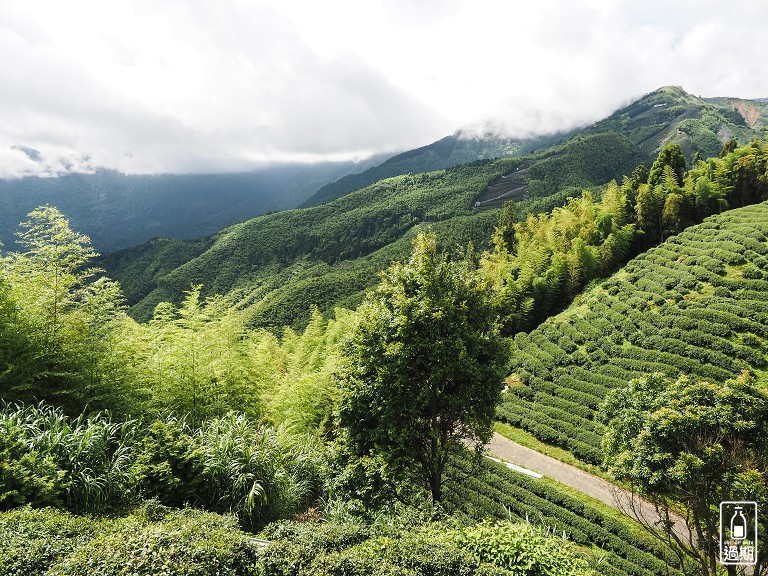 大崙山觀霧亭