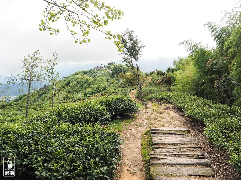 大崙山觀霧亭