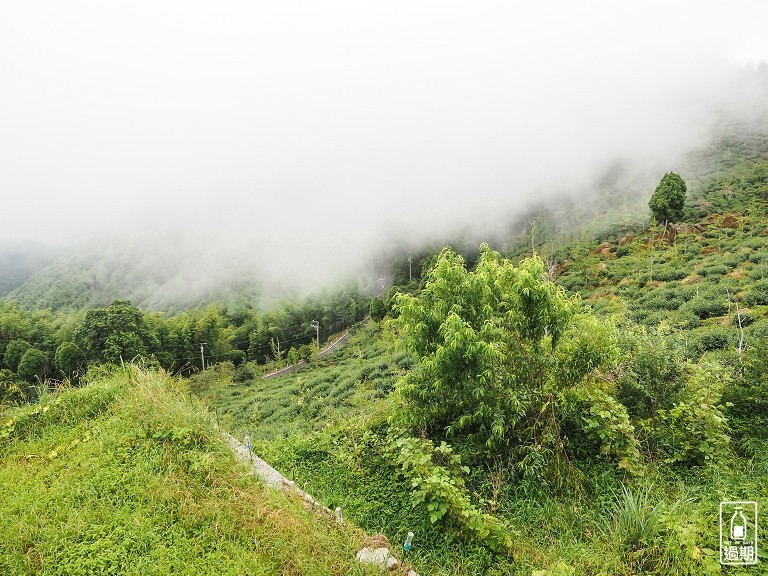 大崙山觀霧亭