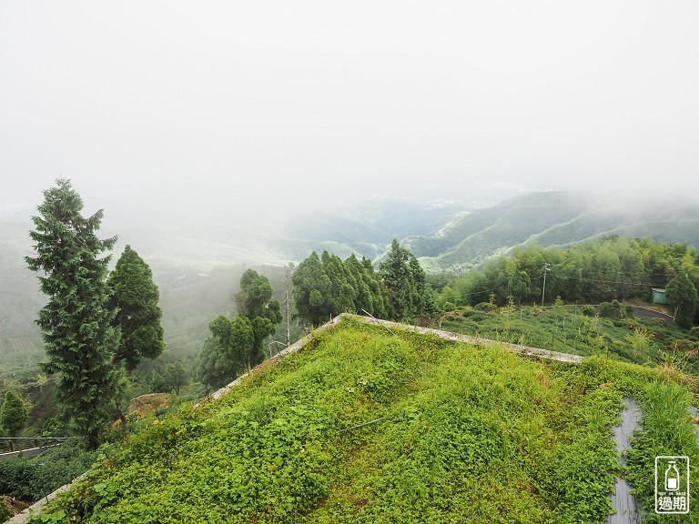 大崙山觀霧亭