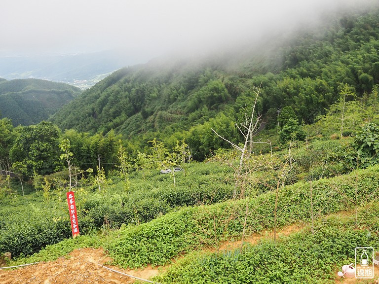 大崙山觀霧亭