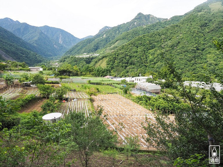 八通關越嶺古道-父子斷崖