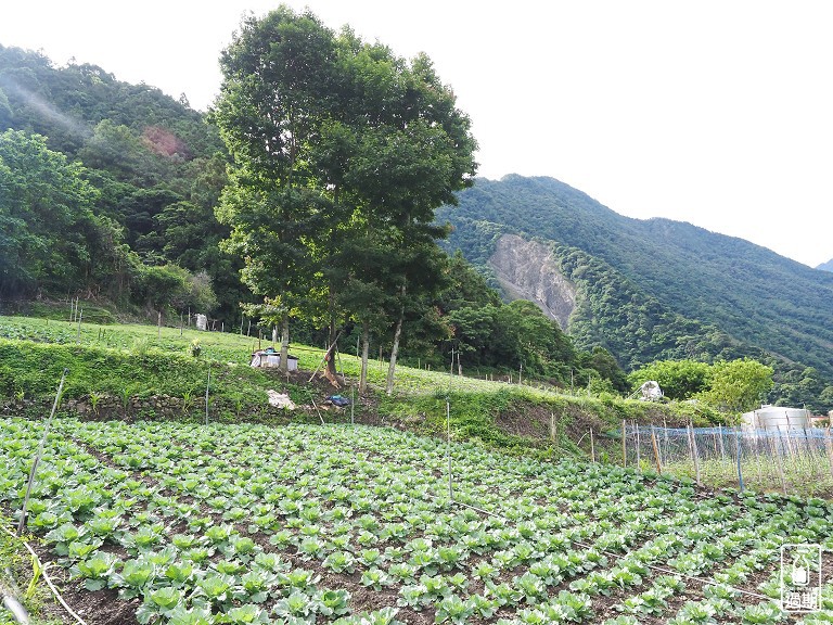 八通關越嶺古道-父子斷崖