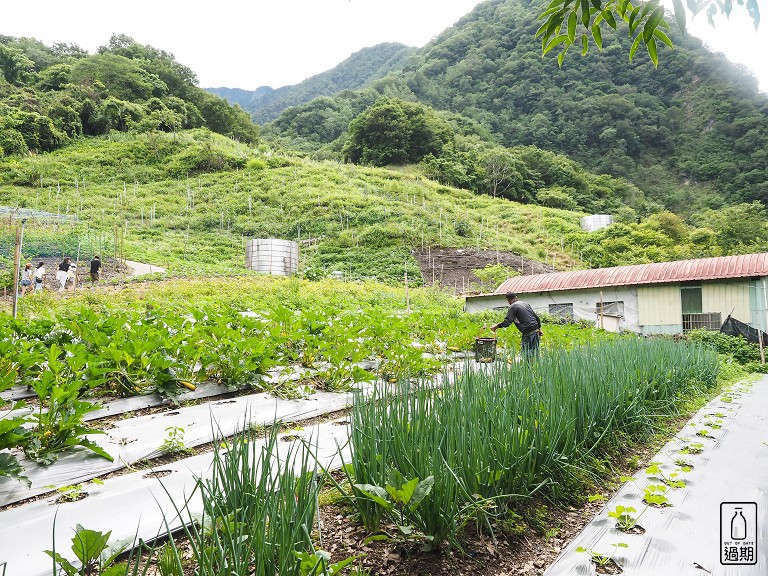 八通關越嶺古道-父子斷崖