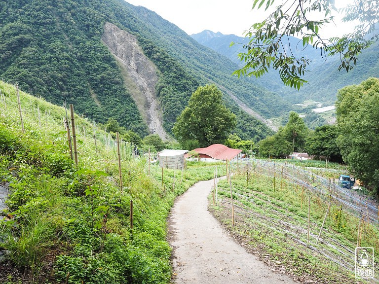 八通關越嶺古道-父子斷崖