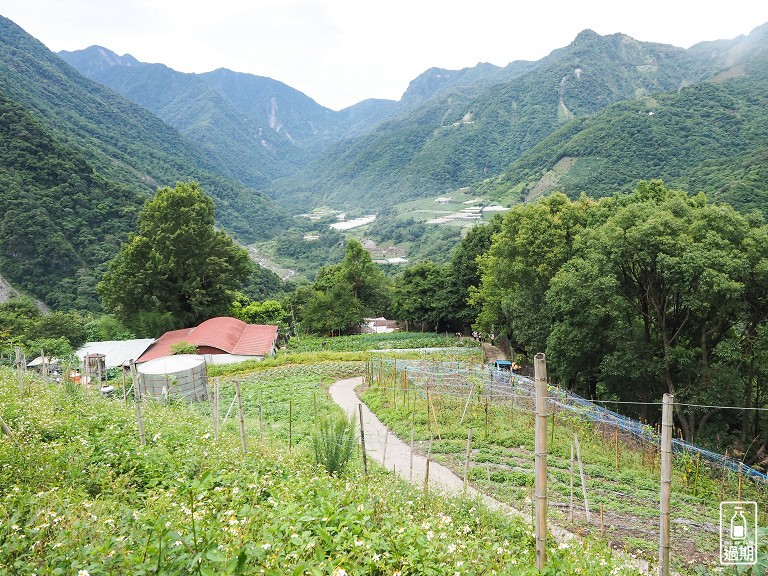 八通關越嶺古道-父子斷崖