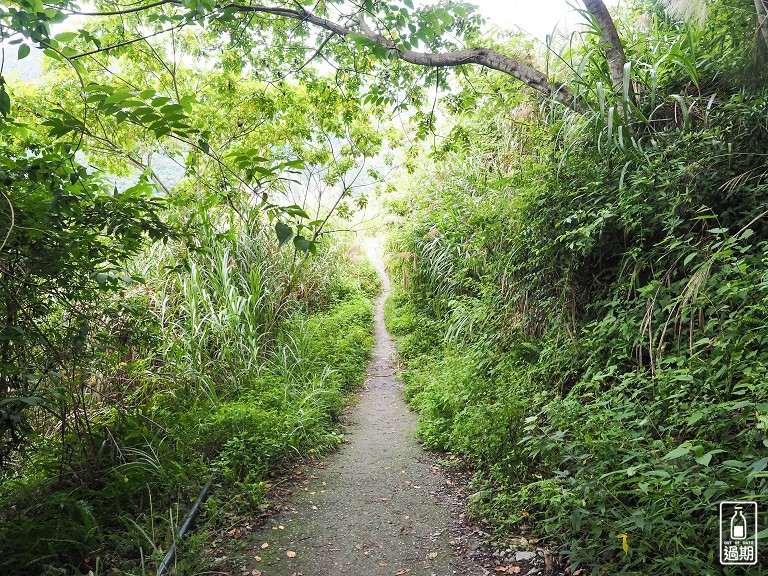 八通關越嶺古道-父子斷崖