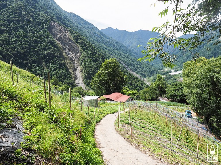 八通關越嶺古道-父子斷崖