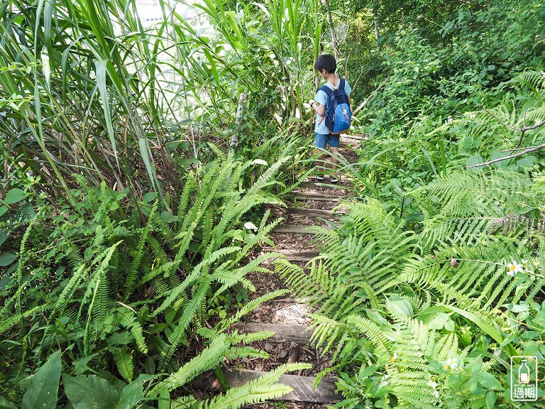 八通關越嶺古道-父子斷崖