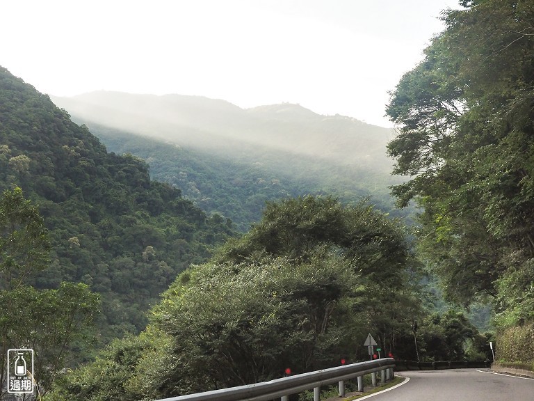 拉拉山神木群步道