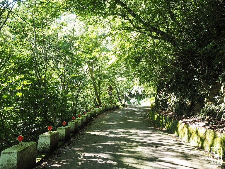 拉拉山神木群步道