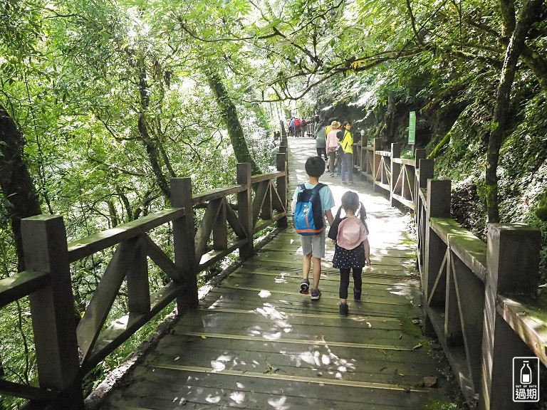 拉拉山神木群步道