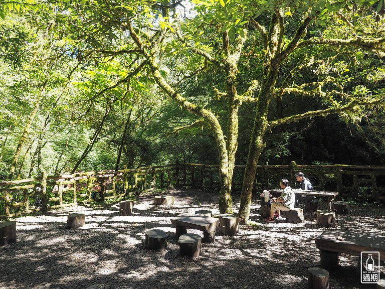 拉拉山神木群步道