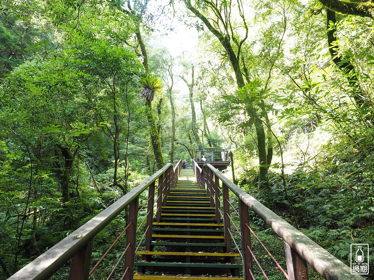 拉拉山神木群步道